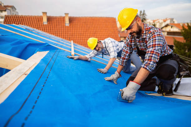 Best Metal Roofing Contractor  in North Bend, WA